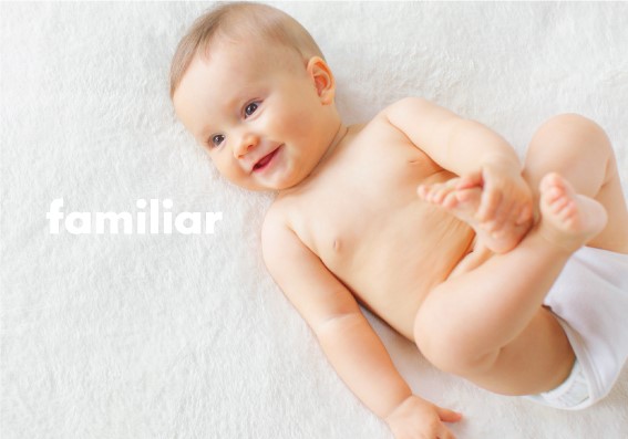 導入事例: 株式会社ファミリア様